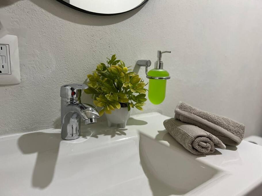 グアダラハラDepa Boho Al Sur Pet Friendly Piscina Gym Sala De Cineアパートメント エクステリア 写真